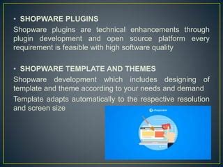 shopware development agency